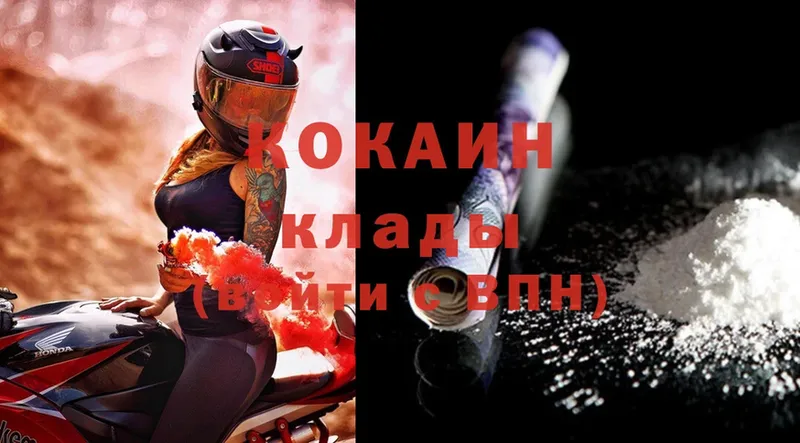 купить наркотики сайты  Сальск  COCAIN FishScale 